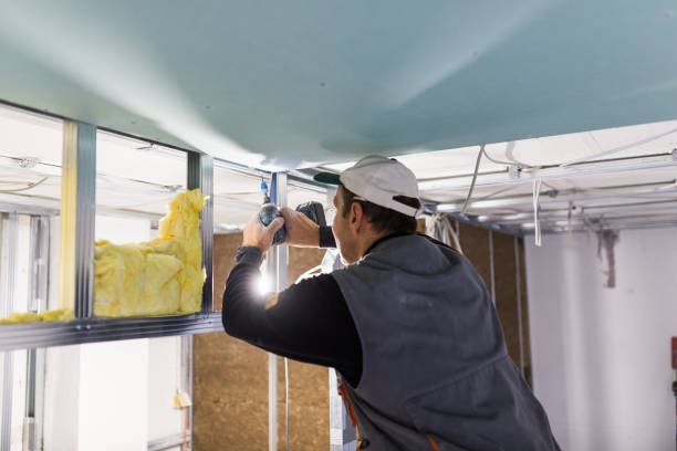 Best Attic Insulation Installation  in Buchanan, NY