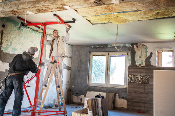 Best Insulation Repair Services  in Buchanan, NY