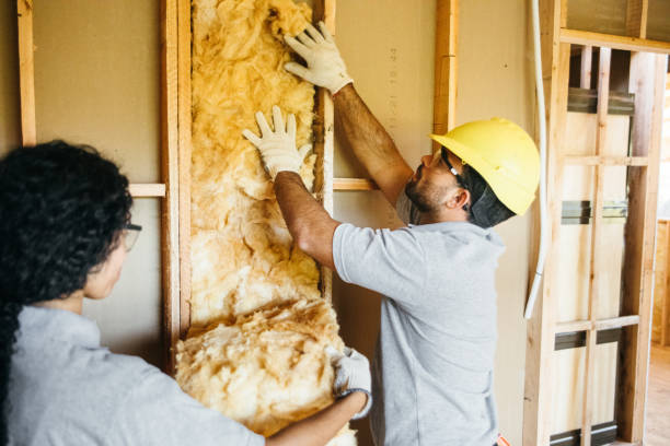Insulation Inspection Services in Buchanan, NY